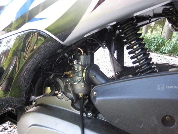 Leone Swan billede 12