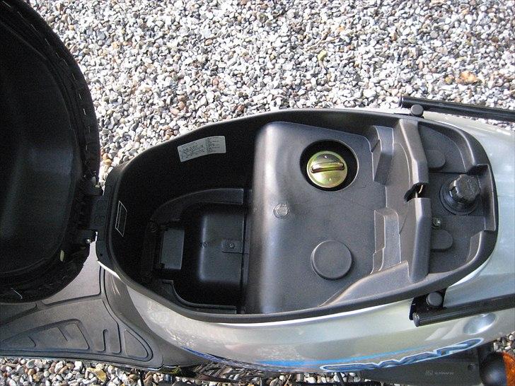 Leone Swan billede 14