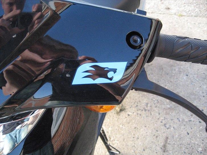 Leone Swan billede 17