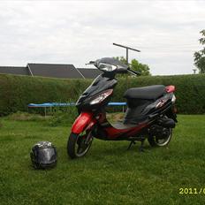 Giantco Sprint sport