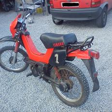 Yamaha Sting