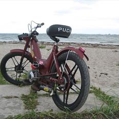 Puch maxi