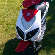 Peugeot Speedfight 2 R-cup (TOTALSKADET)