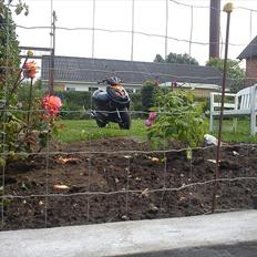 Yamaha Aerox LC DD TS T7