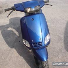 Piaggio zip GL - Italy race 47,6 < AC > splittet 