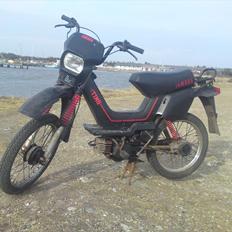 Yamaha Sting SG 50