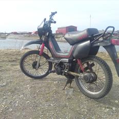Yamaha Sting SG 50