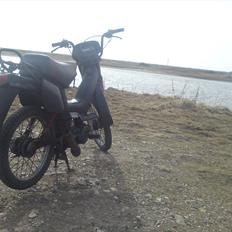 Yamaha Sting SG 50