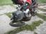Puch maxi