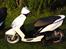 Yamaha Jog R "Efter"