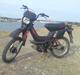Yamaha Sting SG 50