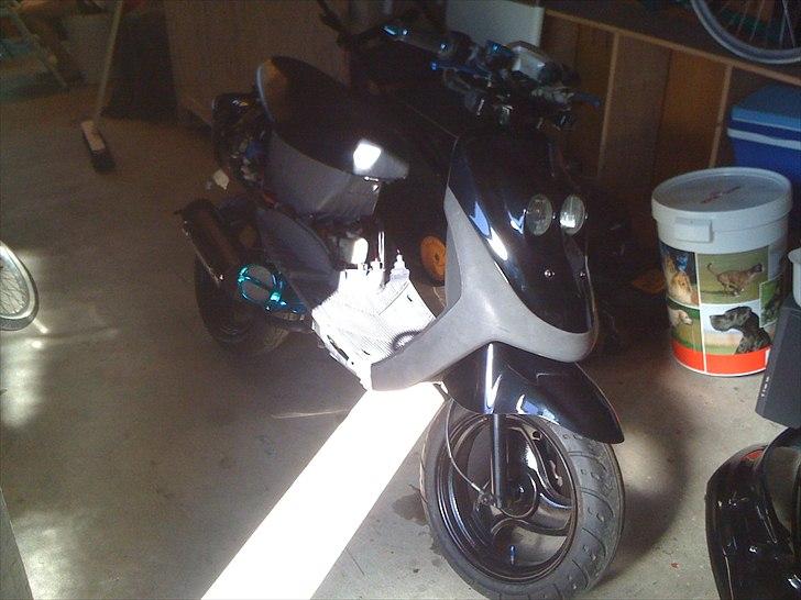 Adly Cat 50 billede 18