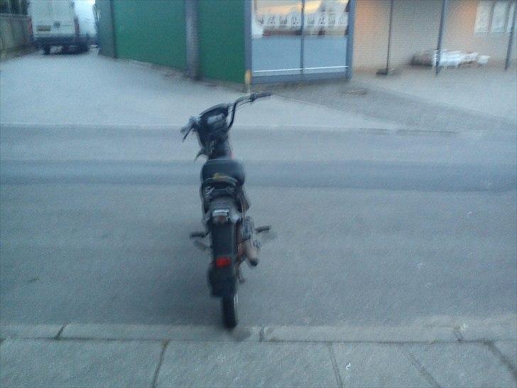 Yamaha sting //solgt// billede 4