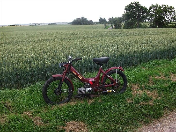 Puch maxi billede 1