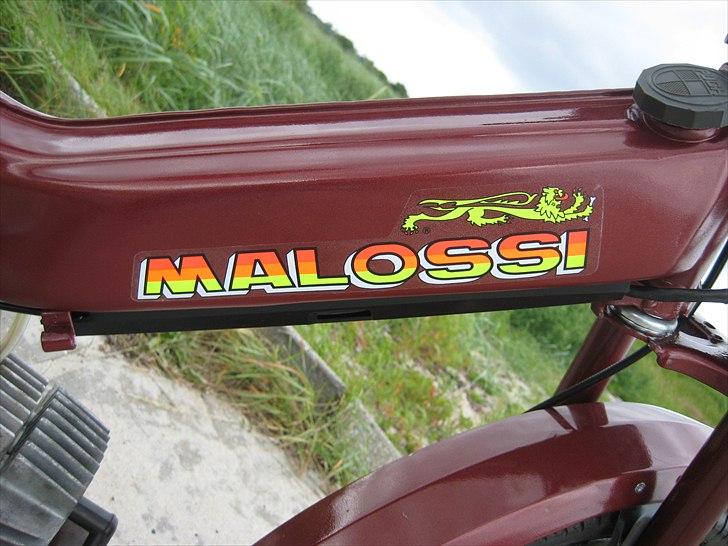 Puch maxi billede 12