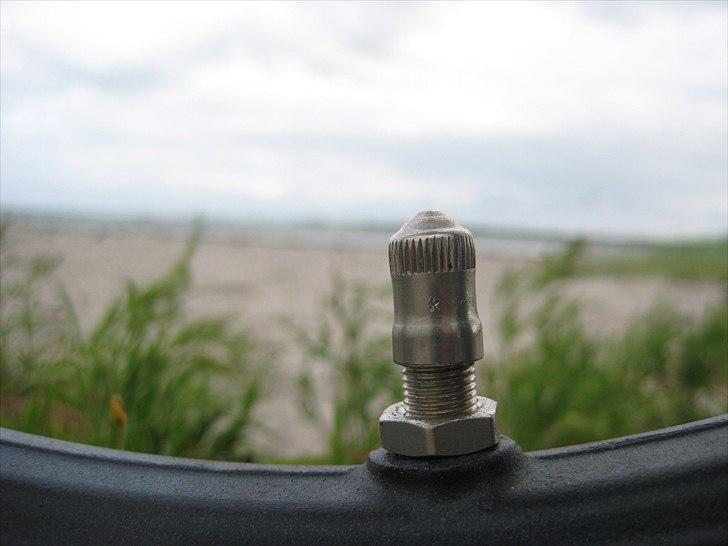 Puch maxi billede 16