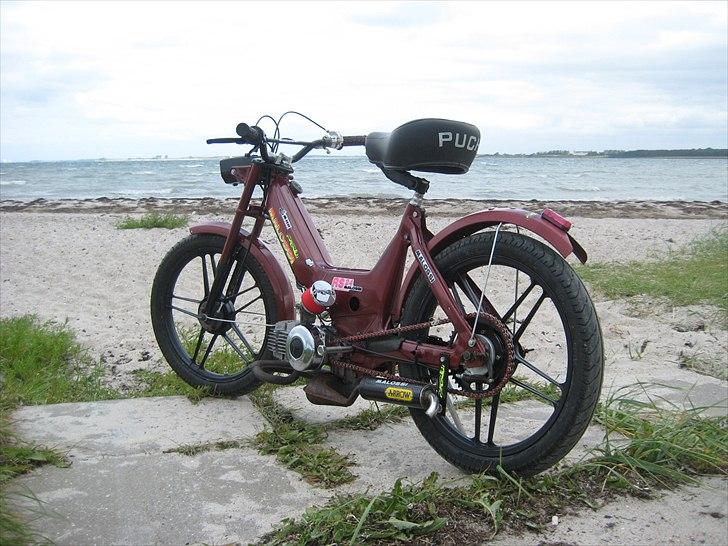 Puch maxi billede 19