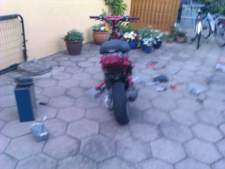 PGO hot 50 byttet billede 3