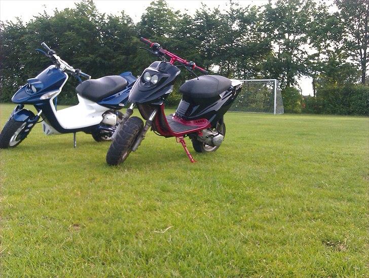 PGO hot 50 byttet billede 6