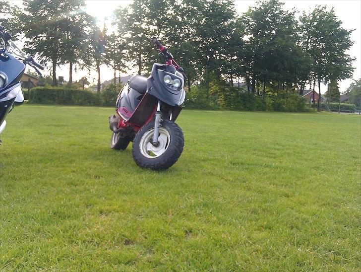 PGO hot 50 byttet billede 7