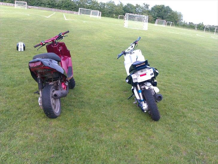 PGO hot 50 byttet billede 12