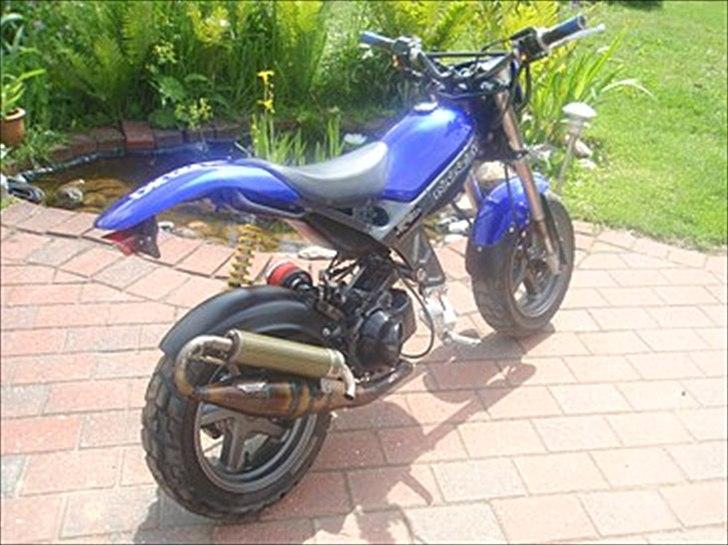 Suzuki street magic  billede 4