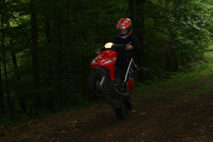 Piaggio new zip (SMADRET) billede 10