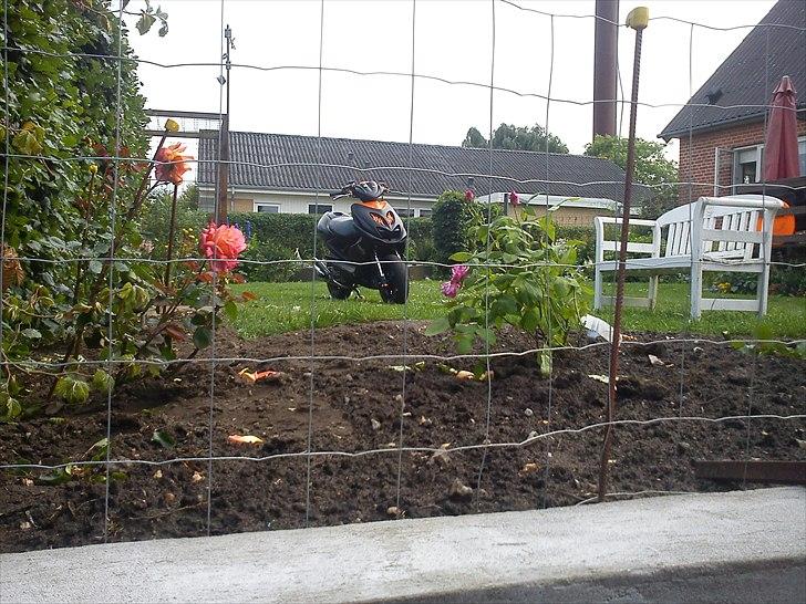 Yamaha Aerox LC DD TS T7 billede 2