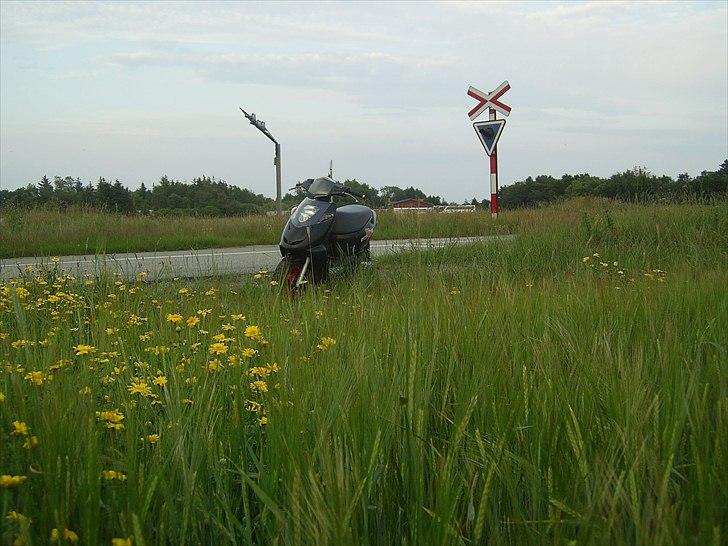 Aprilia sonic til salg byd  billede 5