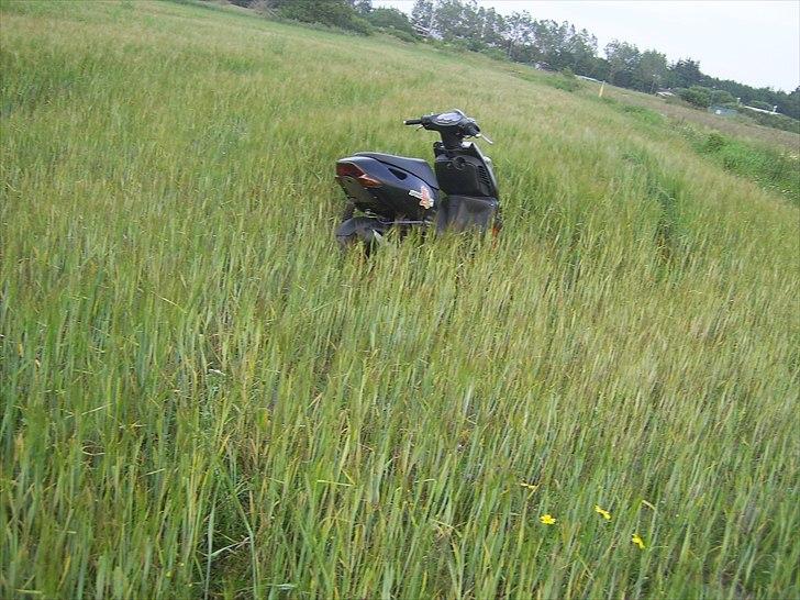 Aprilia sonic til salg byd  billede 17