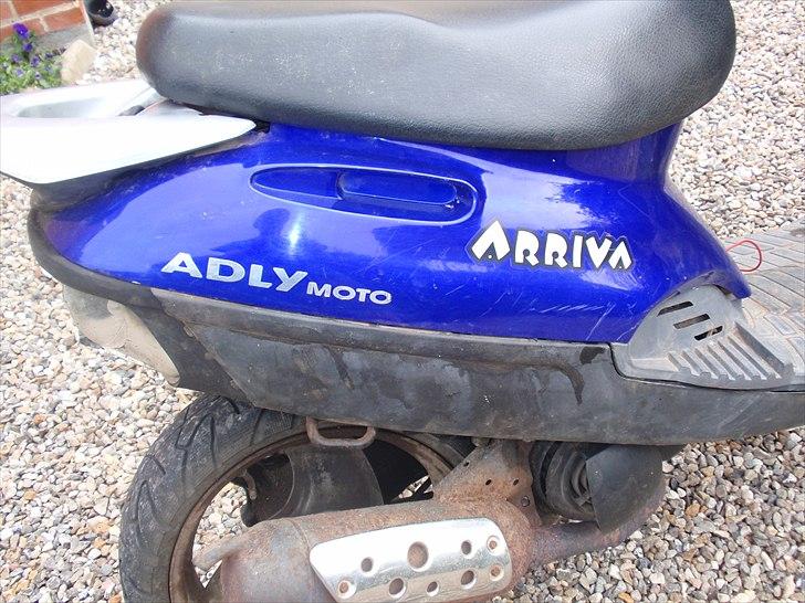 Adly Arriva billede 10