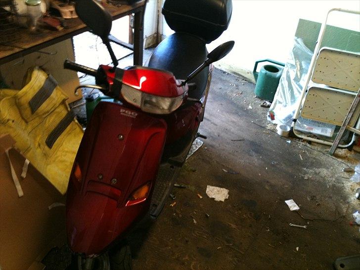 PGO comet byttet til wallaroo da der manglede stel nr billede 6