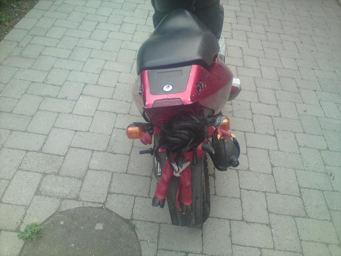 PGO Dr. Big billede 4