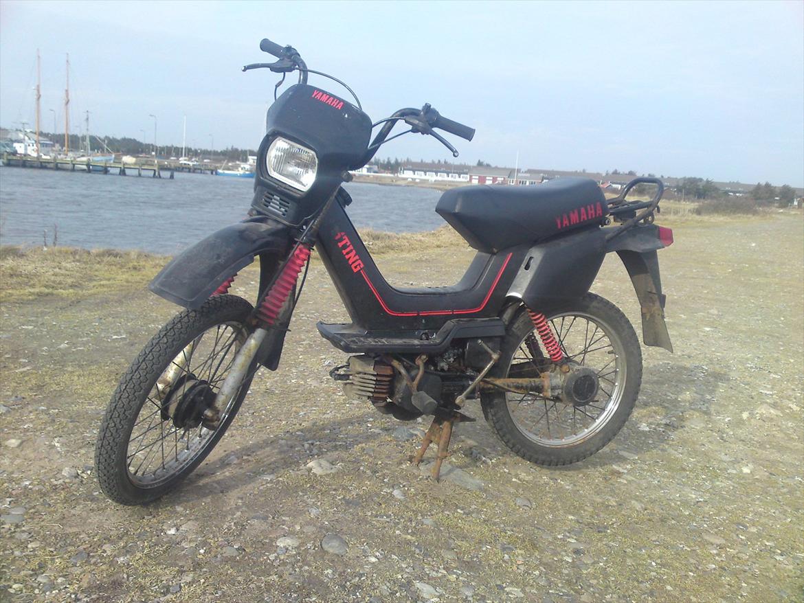 Yamaha Sting SG 50 billede 1