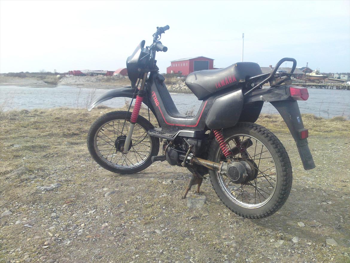 Yamaha Sting SG 50 billede 2