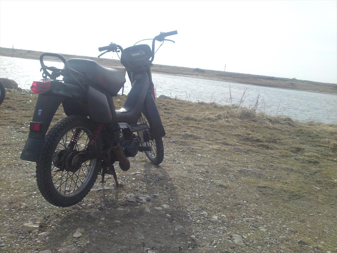 Yamaha Sting SG 50 billede 3