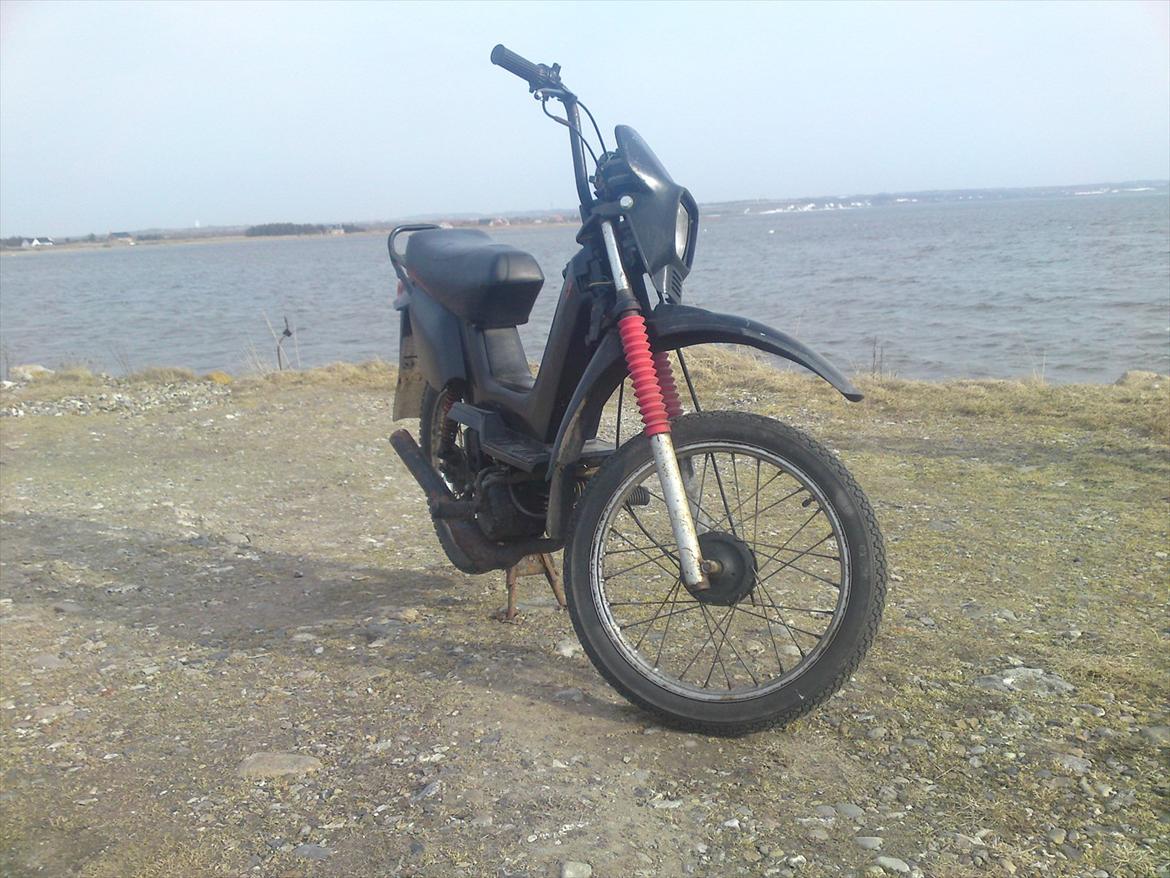 Yamaha Sting SG 50 billede 4