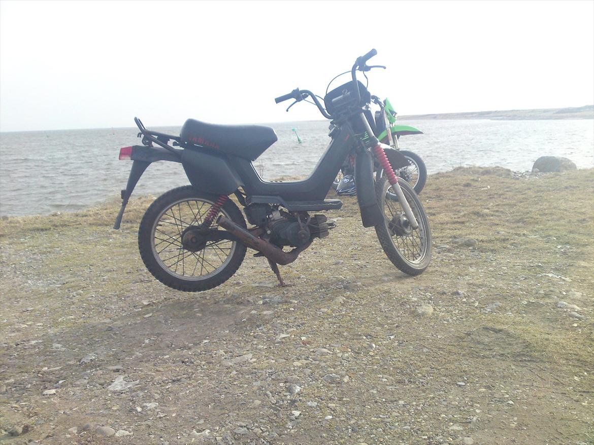 Yamaha Sting SG 50 billede 7