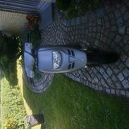 Piaggio Typhoon [SOLGT]