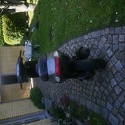 Piaggio Typhoon [SOLGT]