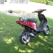 PGO hot 50 Sp SÆLGES TIL RIGTIG PRIS