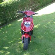 PGO hot 50 Sp SÆLGES TIL RIGTIG PRIS