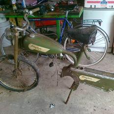 Veteraner Skylon Swing