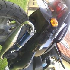 PGO Dr.Big / Benelli  