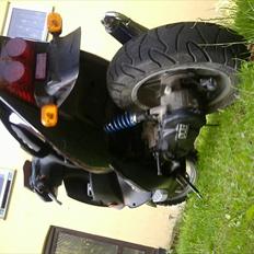 PGO Dr.Big / Benelli  