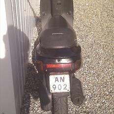 Piaggio zip(hverdags geden)