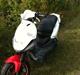 PGO pmx No Fear