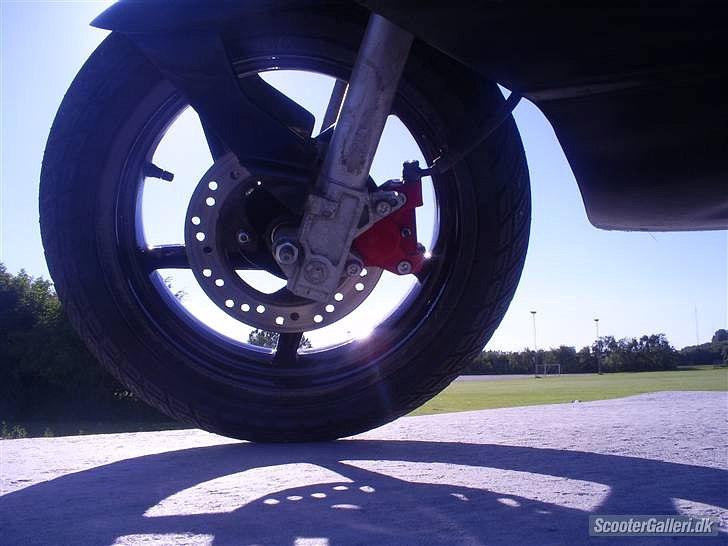 Aprilia SR 50 billede 12