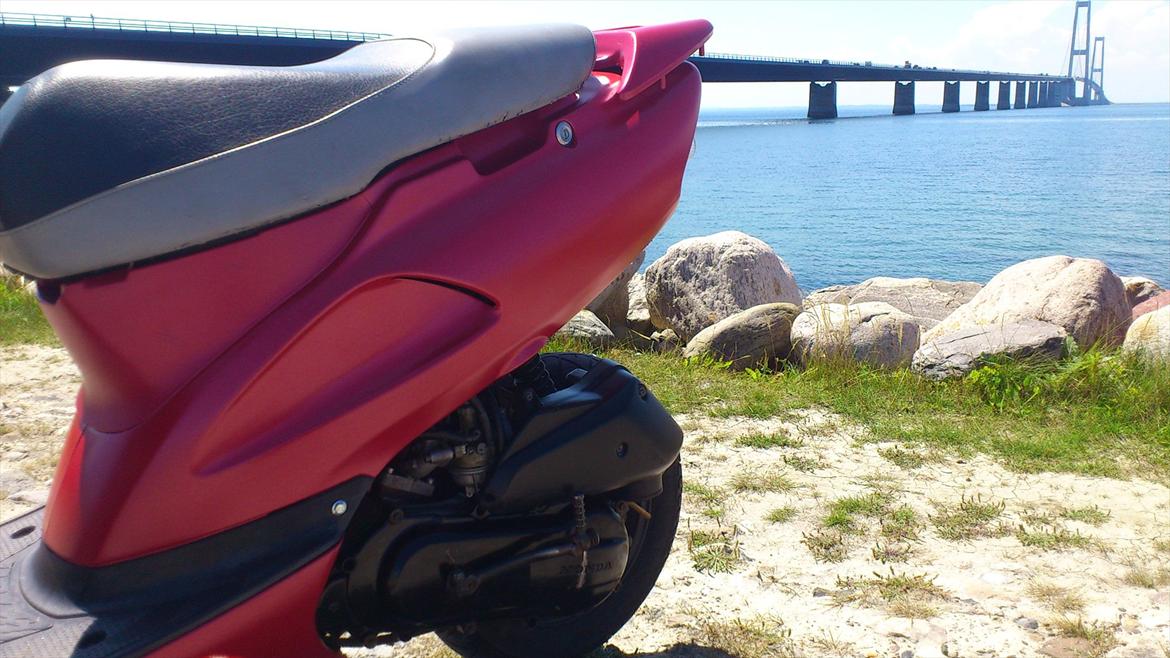 Honda SFX billede 14