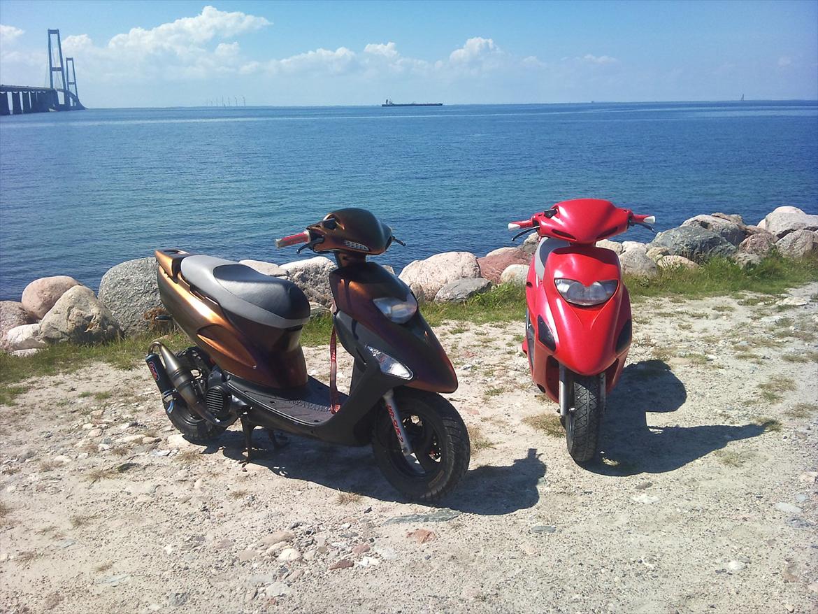 Honda SFX billede 12